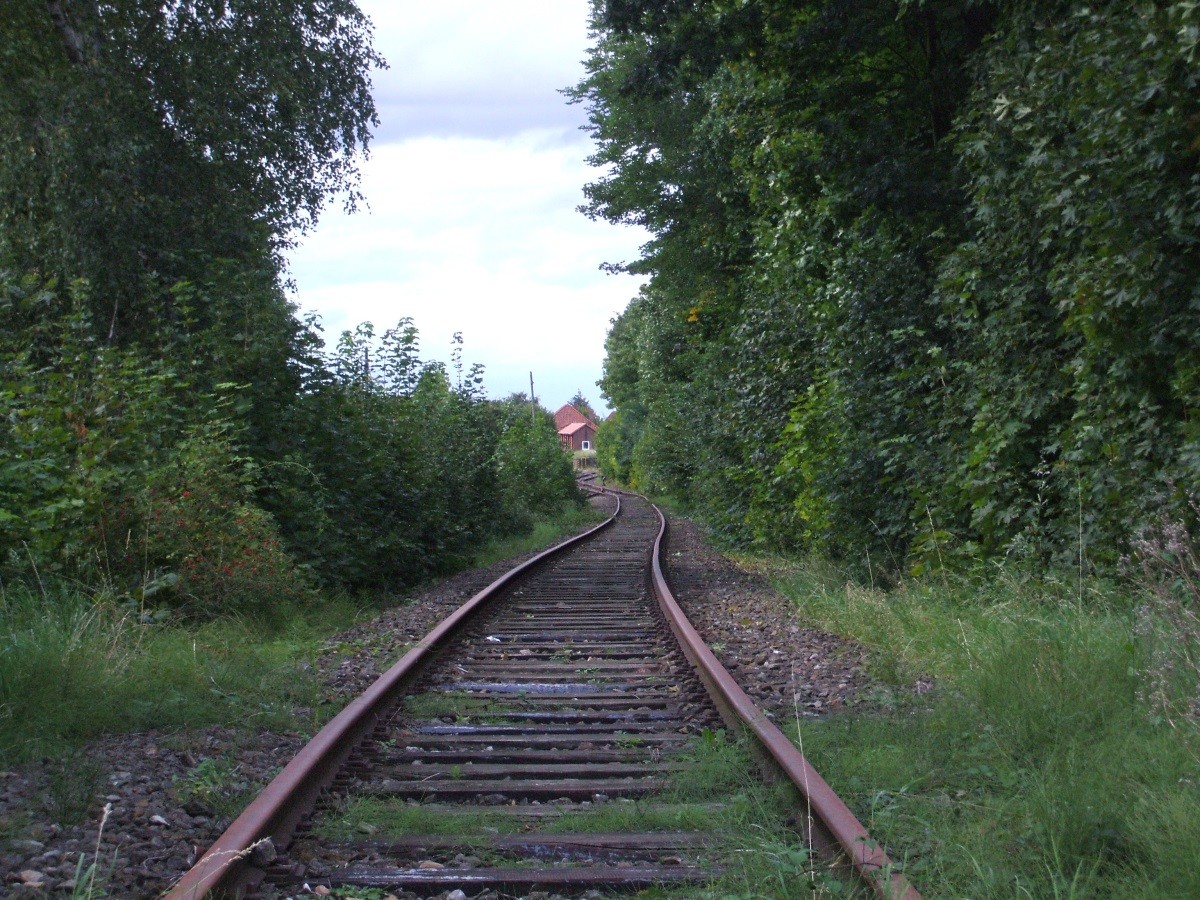 61.JPG