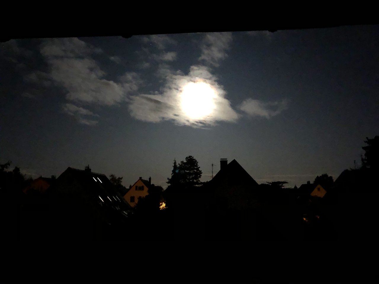 651CDCDC-38A6-4413-83E7-DB72E5B7D16A.jpeg