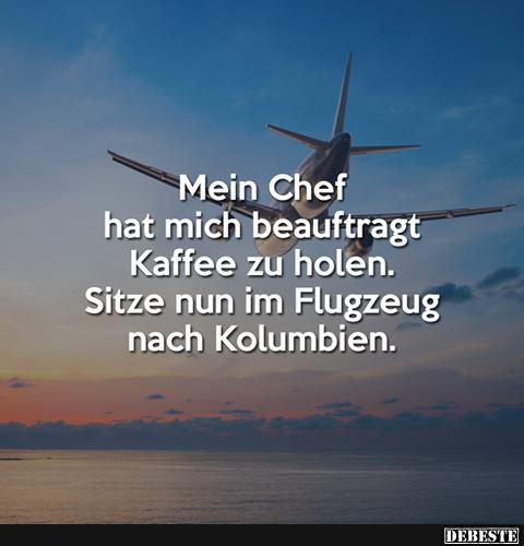 65A0AD32-6563-4B31-A27E-8ADF02720488.jpeg