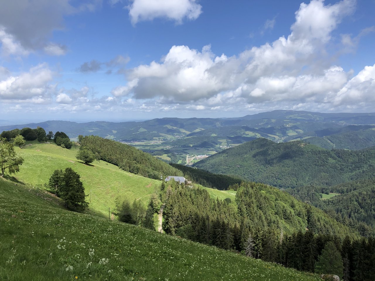 6FC0E87E-253E-4266-B716-8AB6611453F4.jpeg