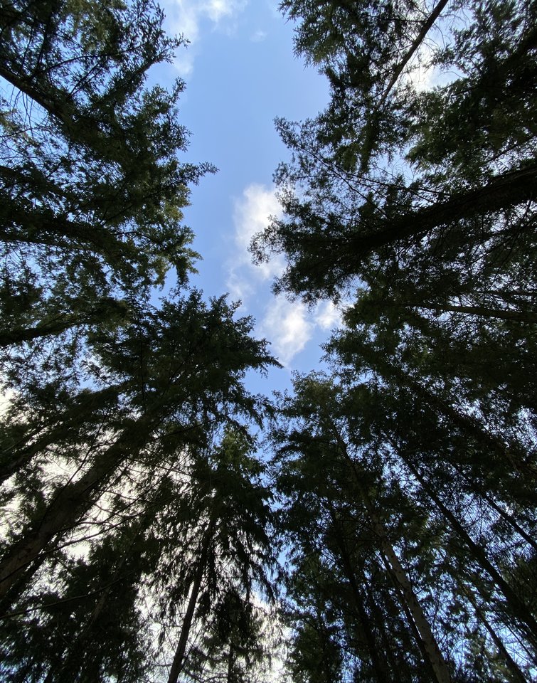70562FDE-E06D-4DCB-B08D-6AB9C60D3589.jpeg