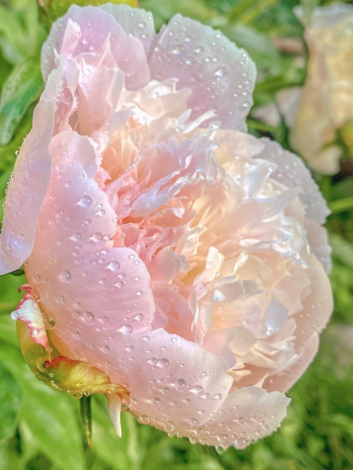 76295D18-149E-458B-AA3B-25C9FCE870D3.jpeg