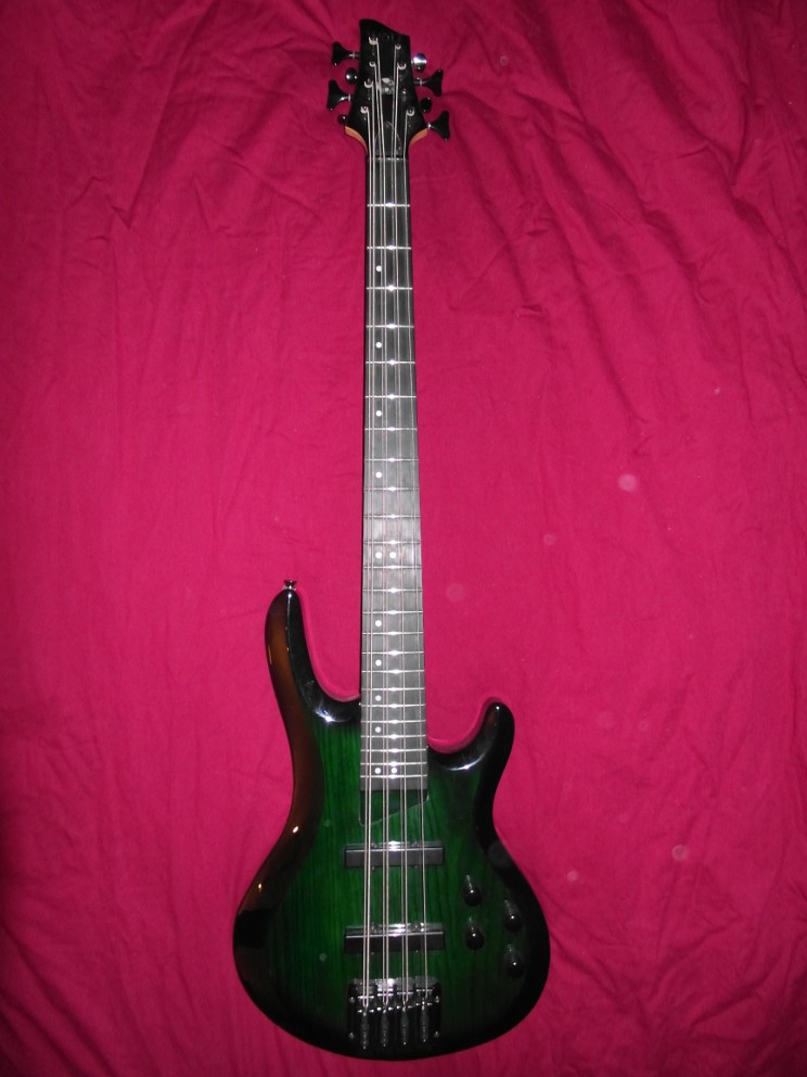 8- Saiter 22X.jpg