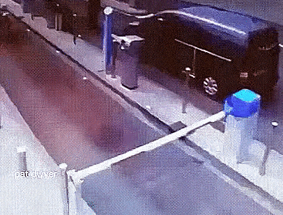 80C80EF1-B716-45DC-9753-887106D64A74.gif