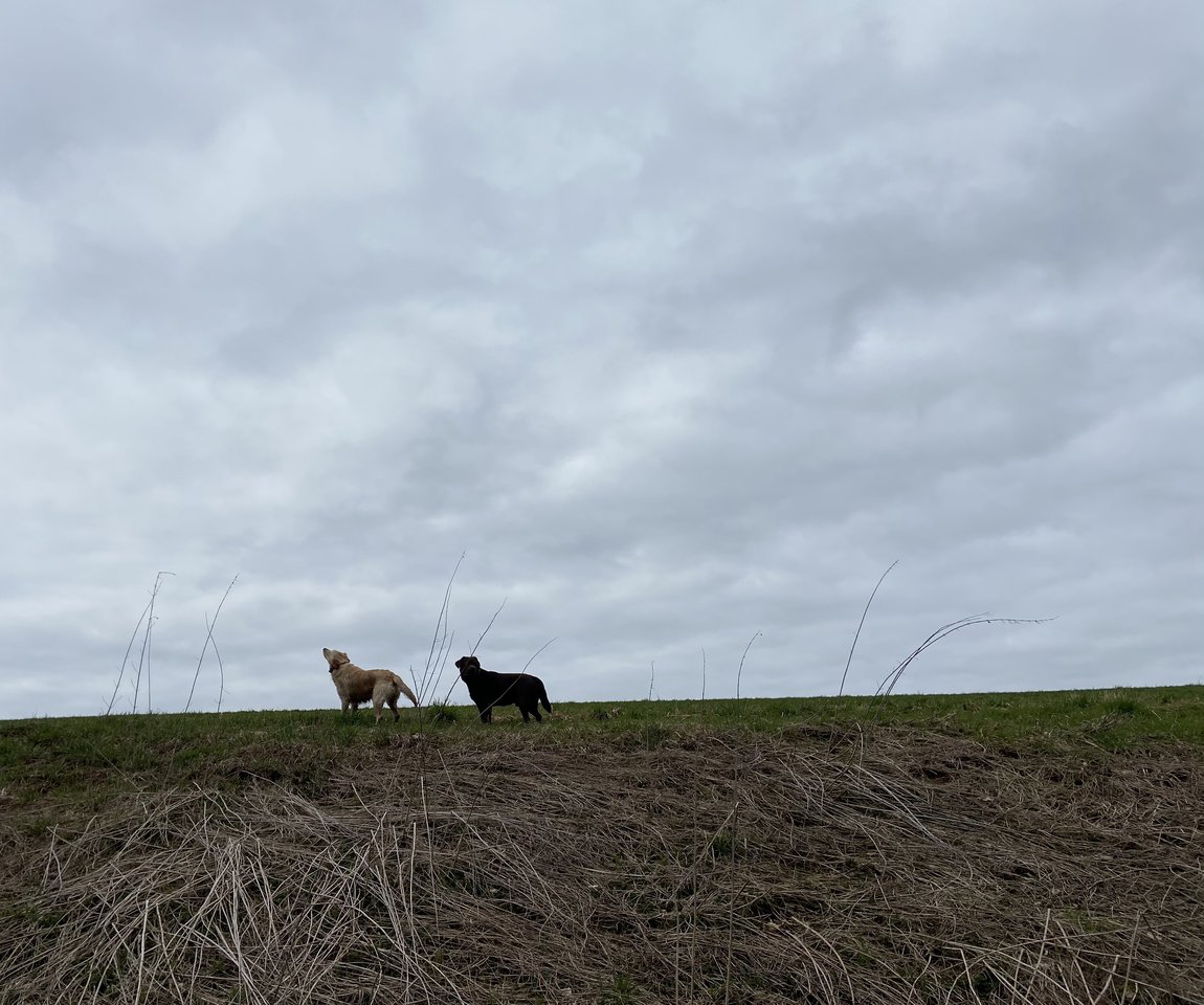 84B107CC-C2D6-4829-B820-86BD7CF0EF26.jpeg