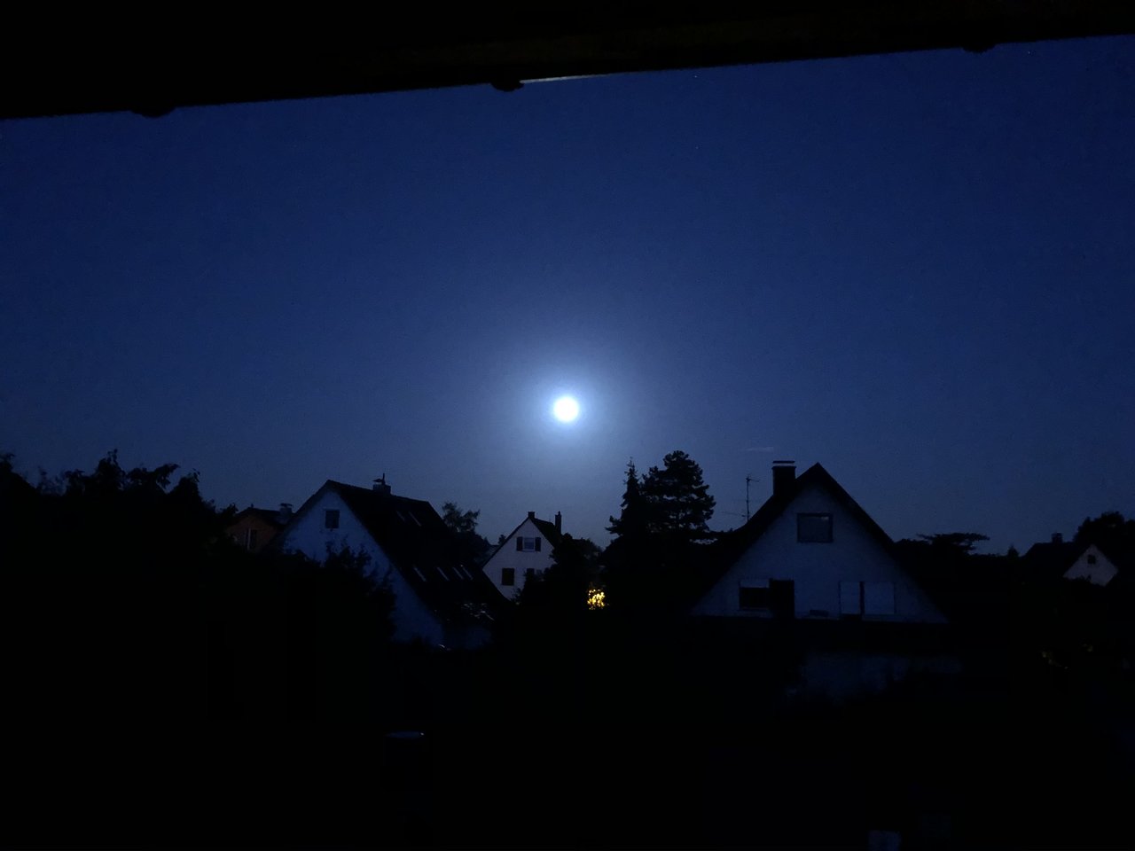 887A3782-E4DC-45DC-9B3D-B77FA4F55249.jpeg