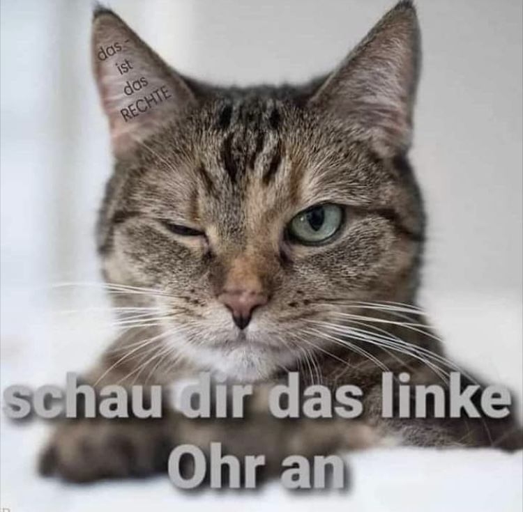 8A5F334A-54D2-4265-88CA-746E0072C6B8.jpeg
