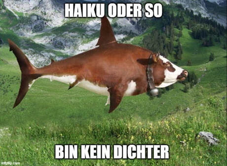 8edd27f899ddfc26.jpg