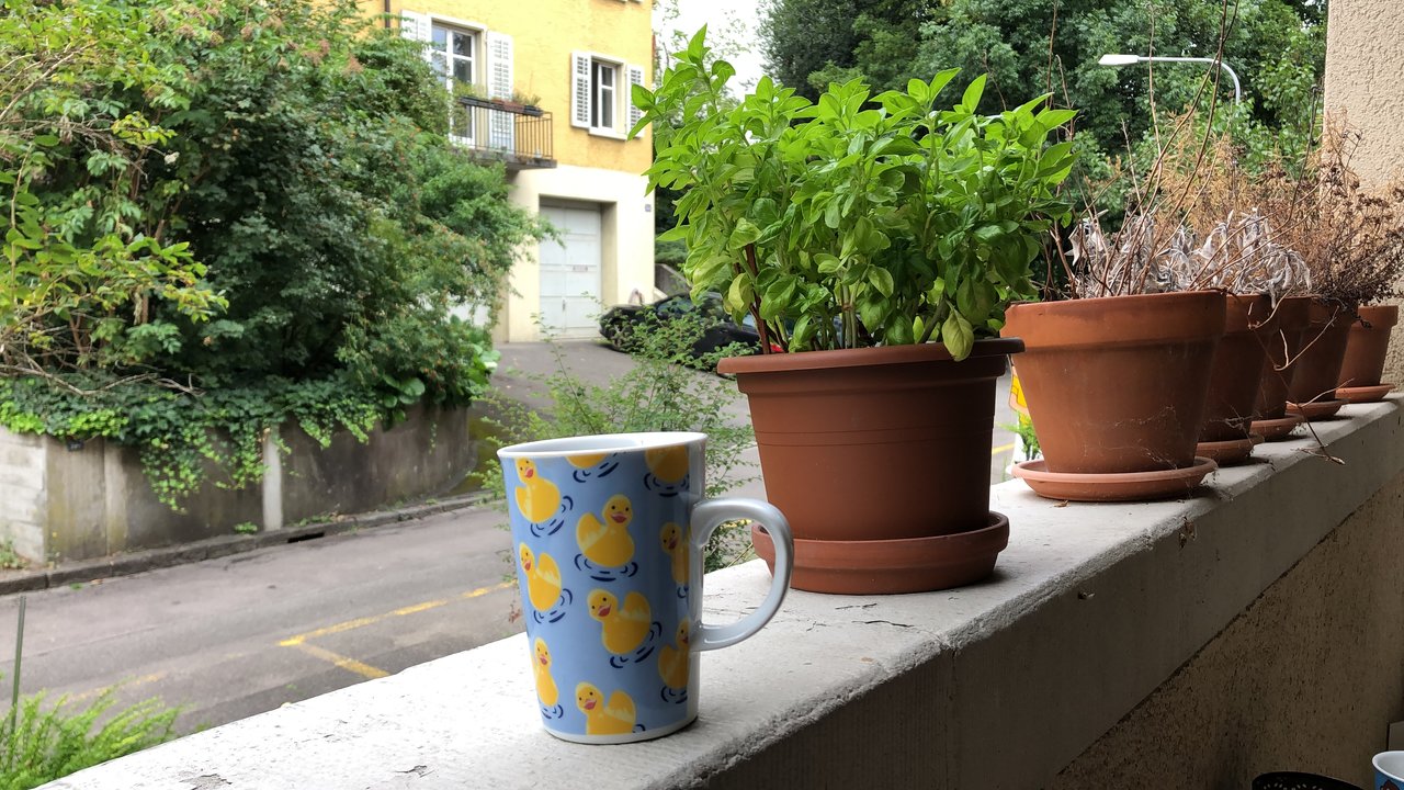 950A518D-0052-4A8D-BDC5-600F0436D80C.jpeg
