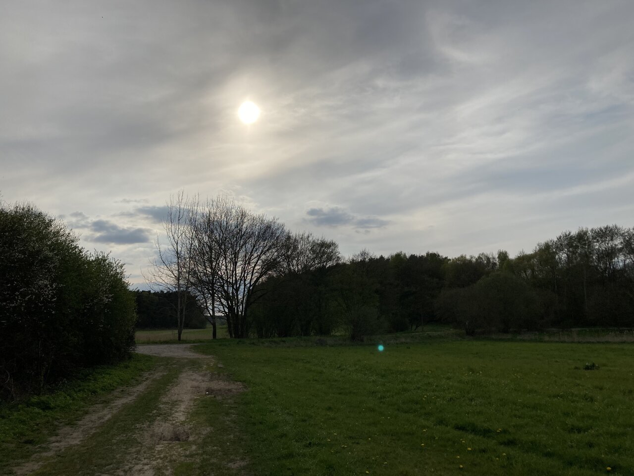 958E84DB-311B-4912-98B3-2AF2B0A3946F.jpeg