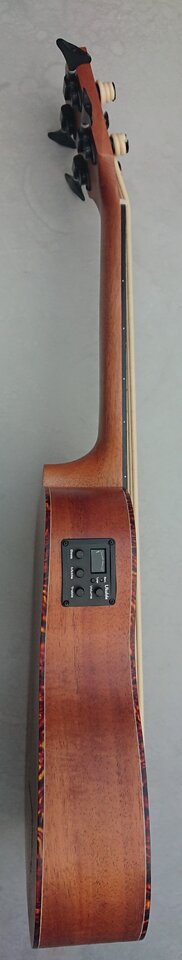 _20230828_194042.JPG
