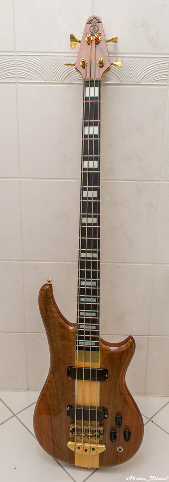 _D3S0593.jpg
