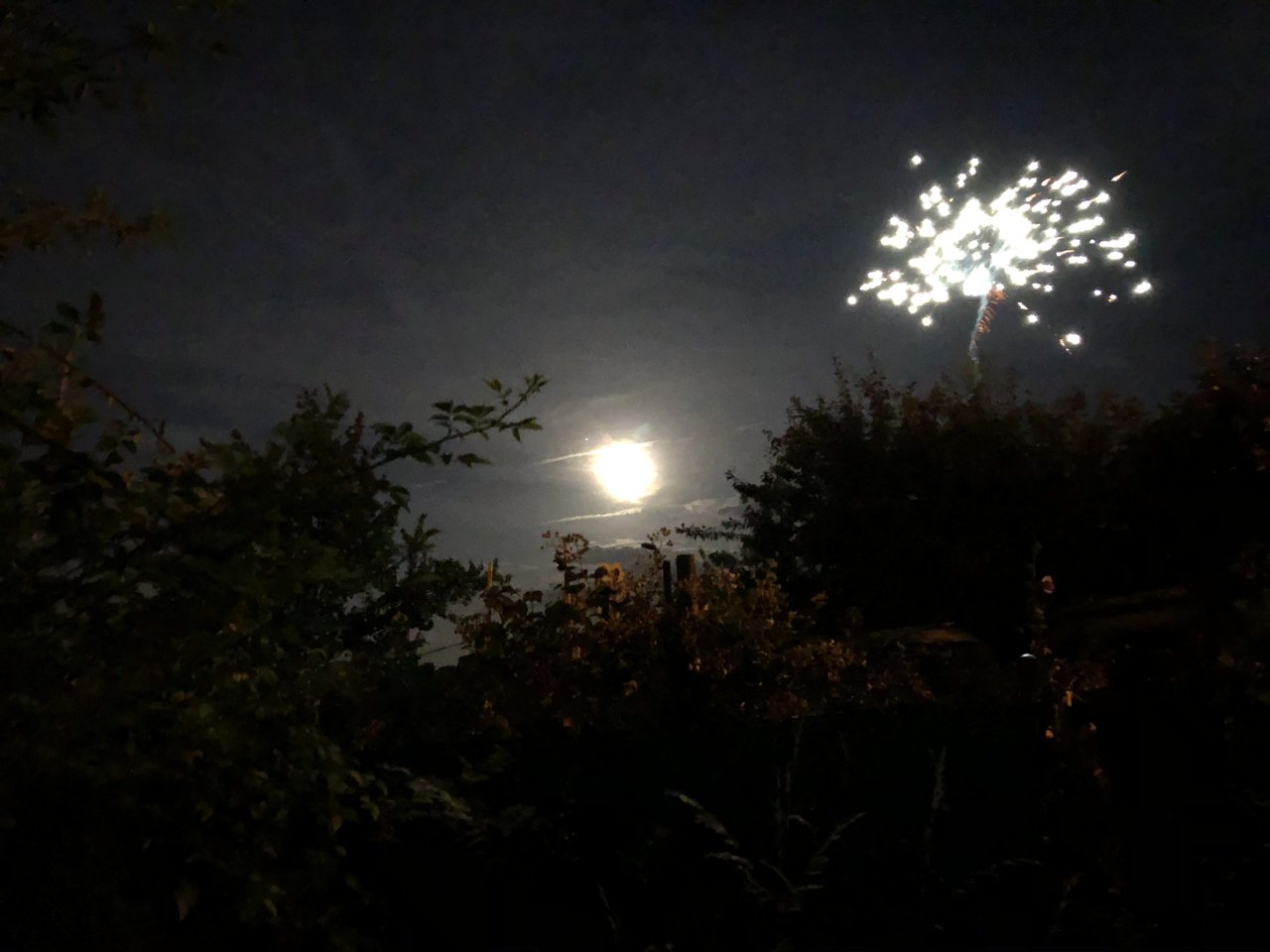 A0662E21-931B-43F0-B14B-817823F7DE43.jpeg