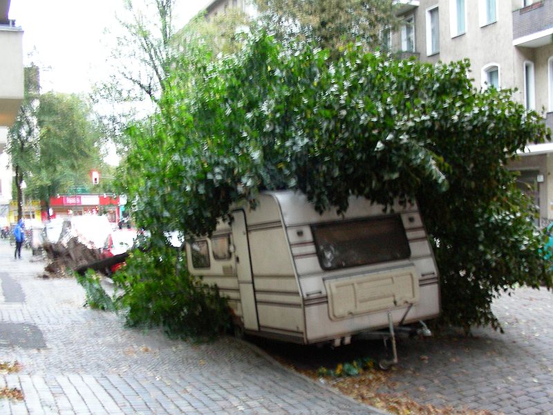 a3.jpg