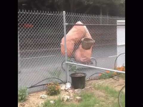 AC382941-E257-48A1-A52F-AA43528C9E42.gif
