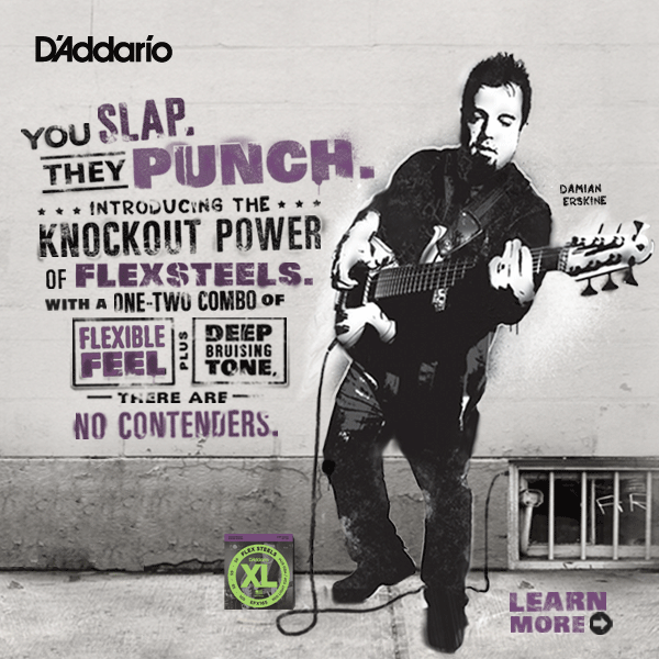 Ad - D'Addario Flexsteels Damien Erskine 600x600.png
