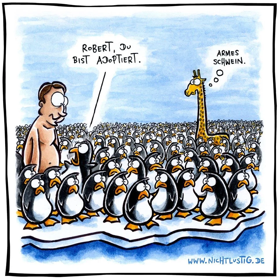 adoptiert.webp