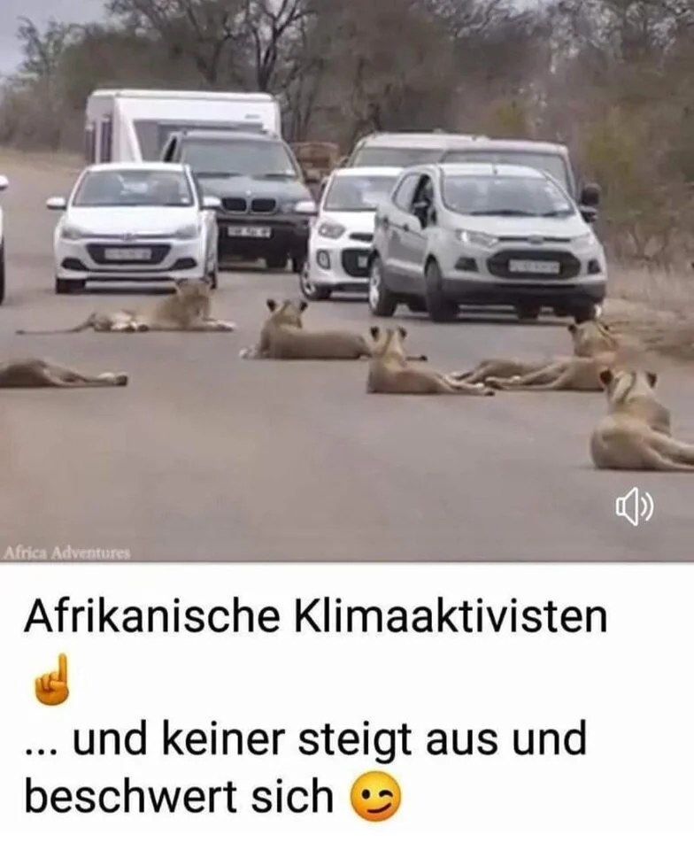 Afrikanische_Klimaaktivisten.webp