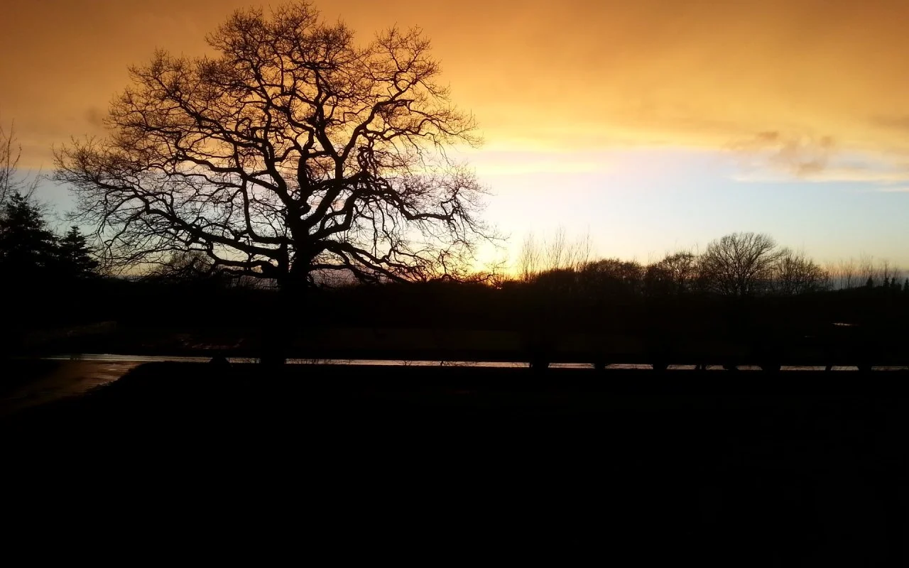 After_The Storm.webp