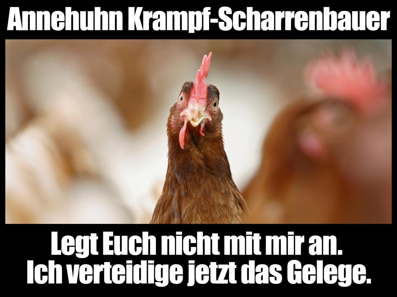 akk2.jpg