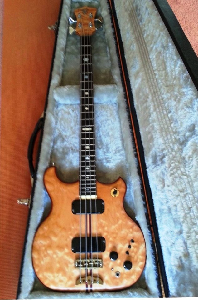 ALEMBIC IN CASE.jpg