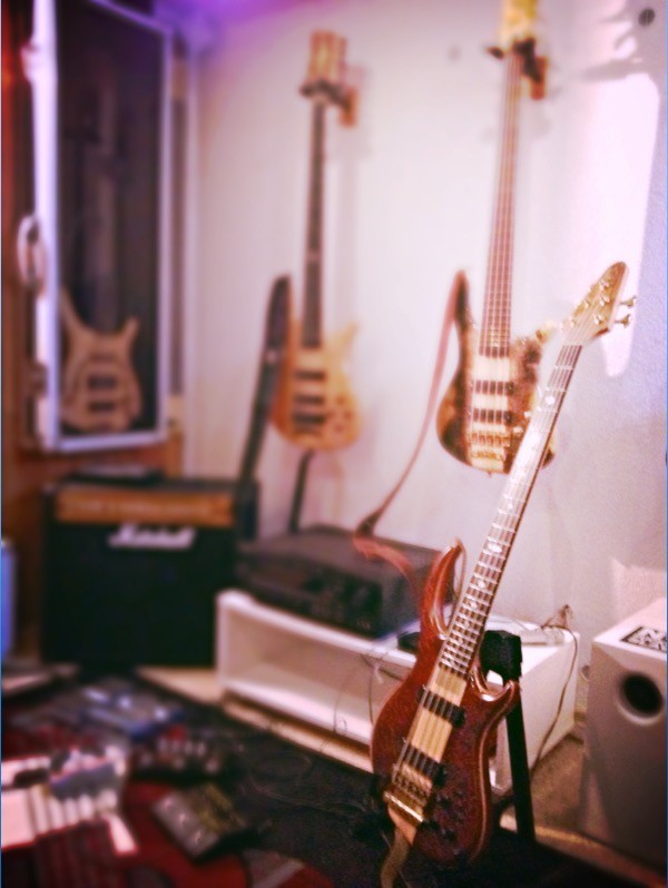 Alembic Rogue 5 (5).JPG