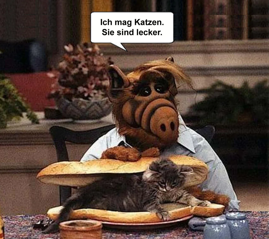 alf_katze1.webp