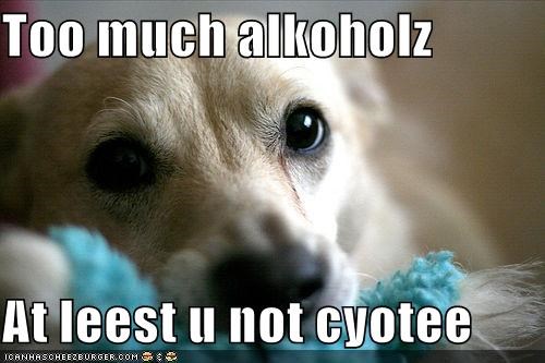 alkoholz.jpg