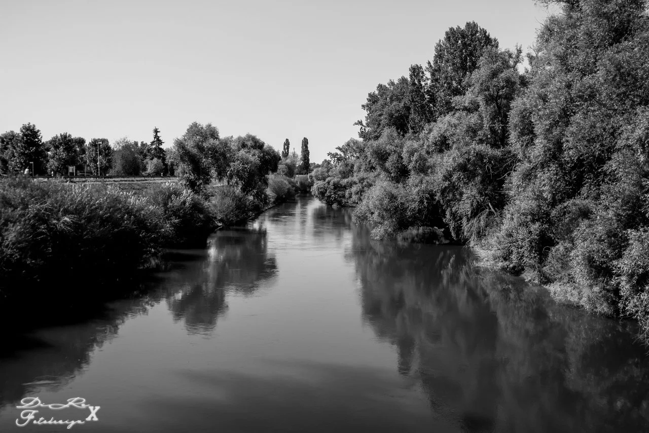 Alt Rhein_07082019.webp