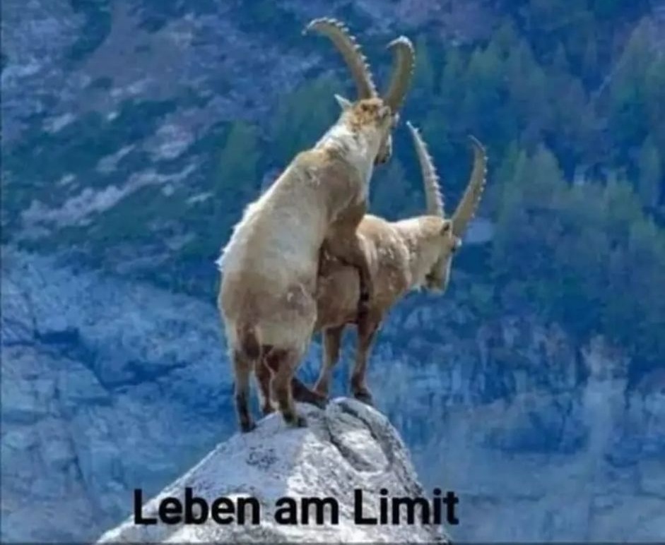 AmLimit.jpeg