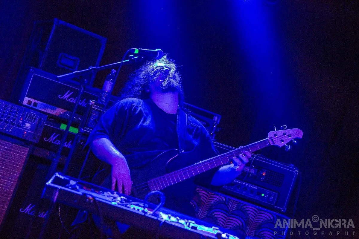 Anima Nigra Cafe Central_13.webp