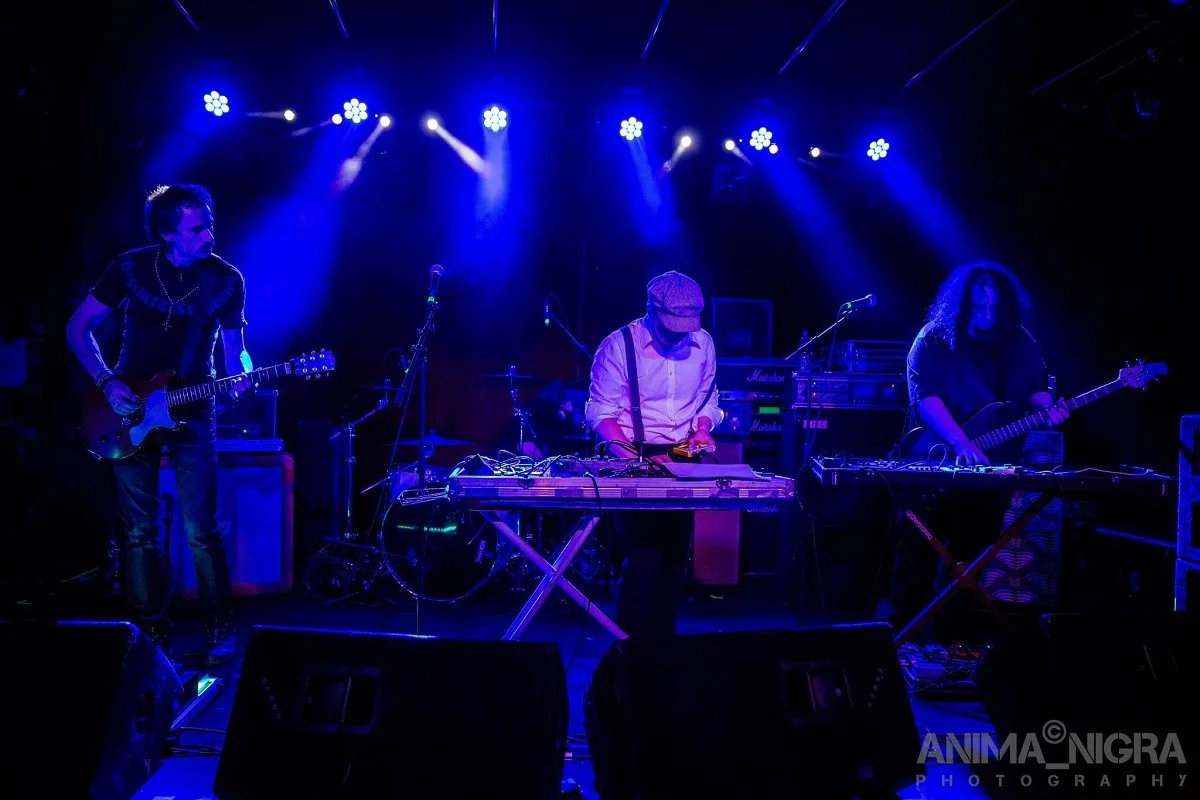 Anima Nigra Cafe Central_27.webp