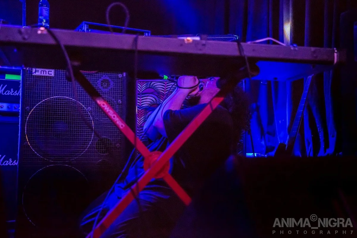 Anima Nigra Cafe Central_80.webp