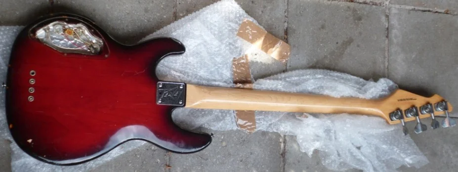 Peavey Bass Rückseite