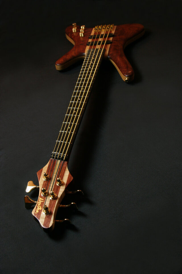 AP Bass 10.JPG