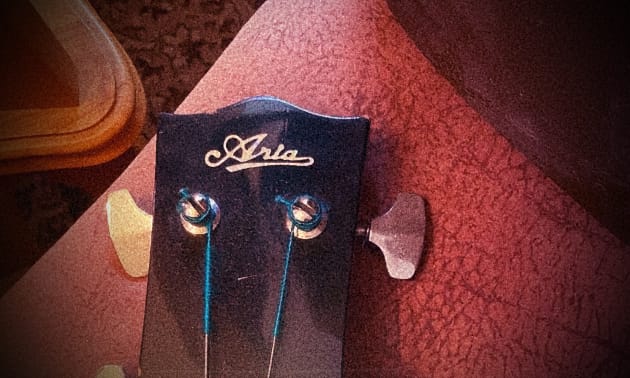 Aria_Bass.jpg