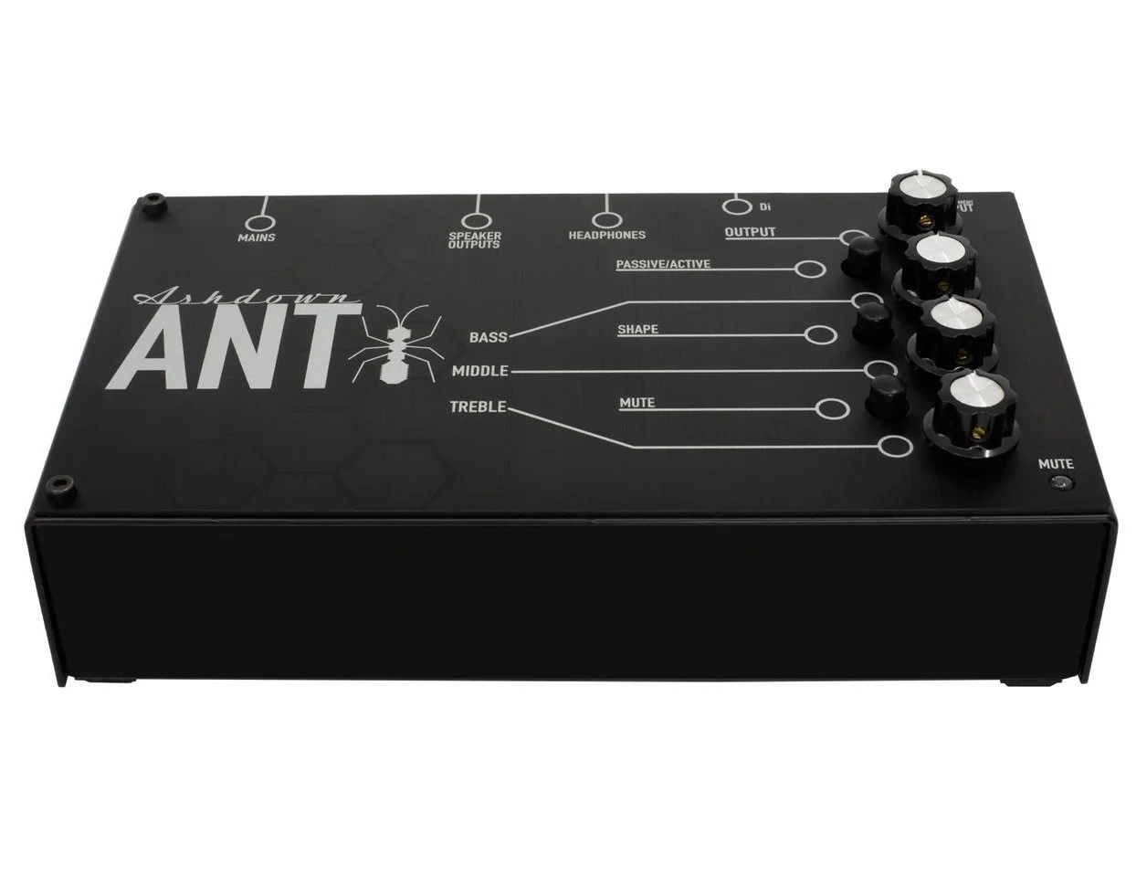 ashdown_ant.webp