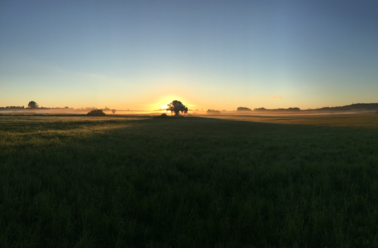 B69AF252-5C28-41B6-A5E9-A52D21DF9F6C.jpeg