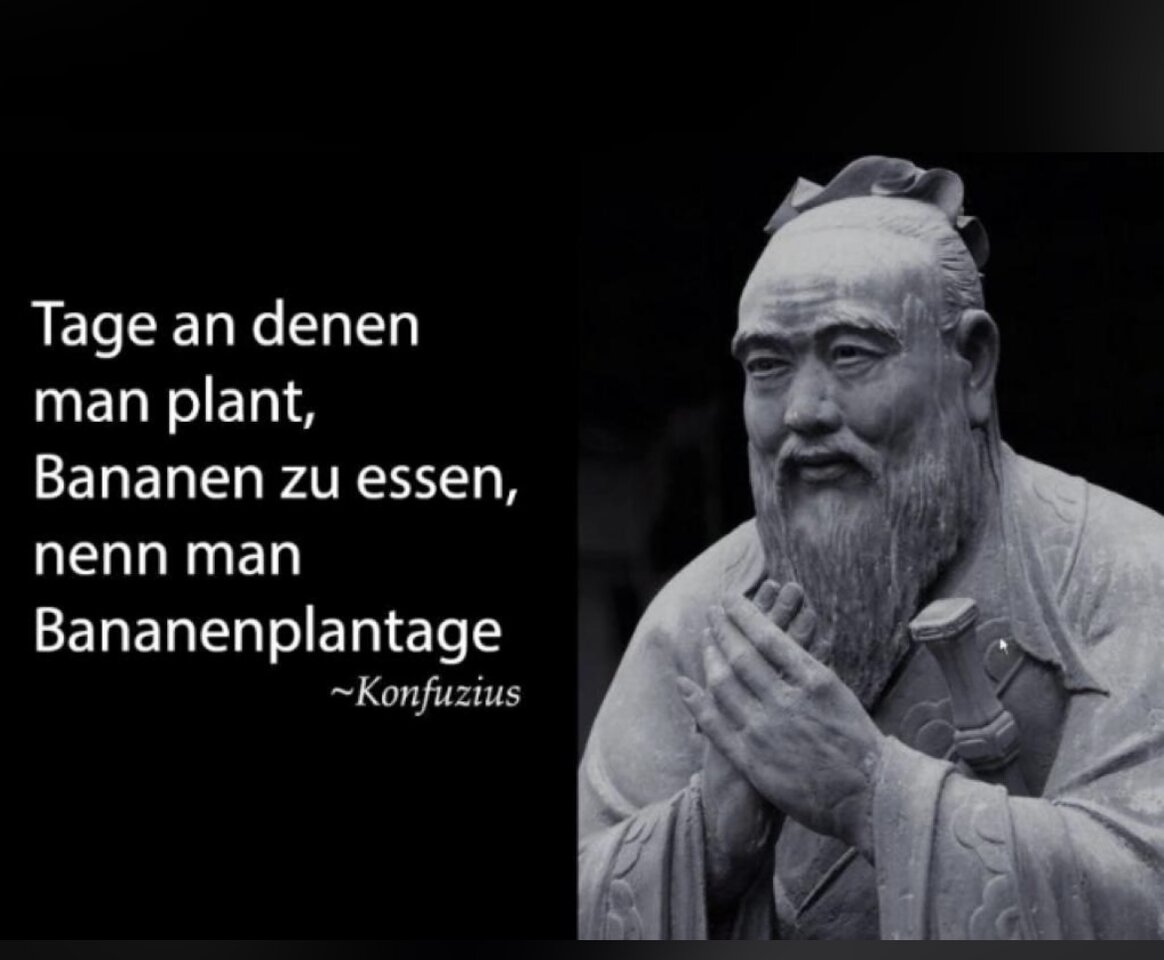 Bananenplantage.jpg