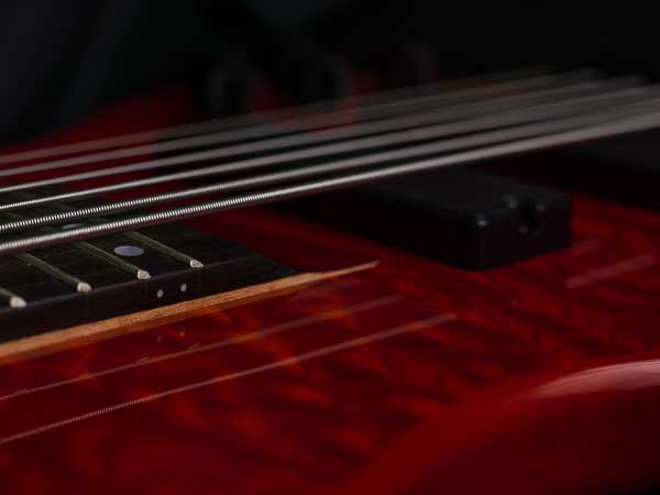 bass (001 von 007).jpg