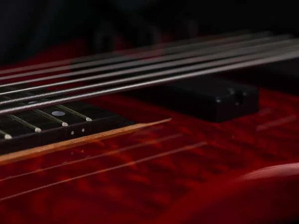 bass (001 von 007).webp