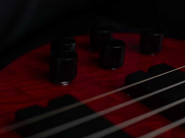 bass (002 von 007).jpg