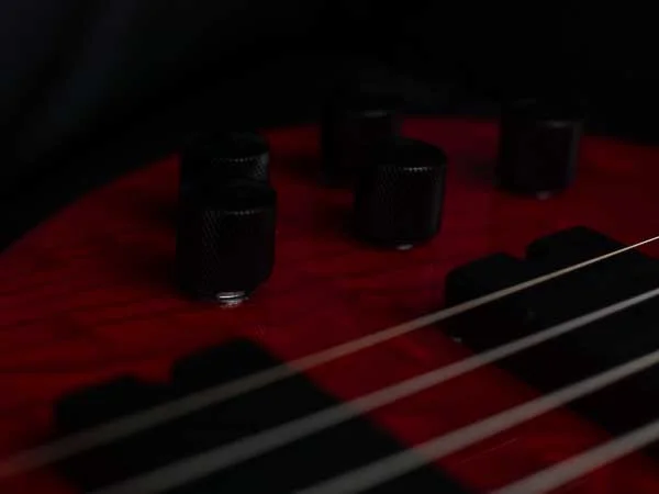 bass (002 von 007).webp