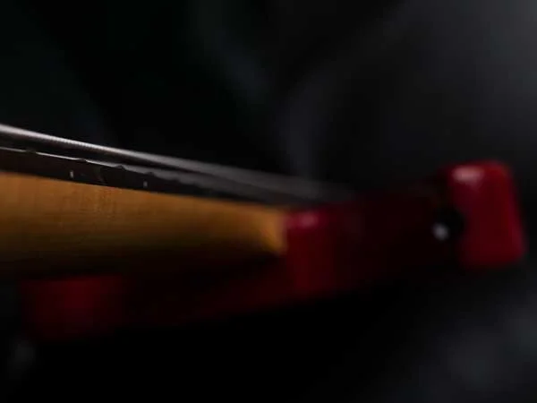 bass (006 von 007).webp