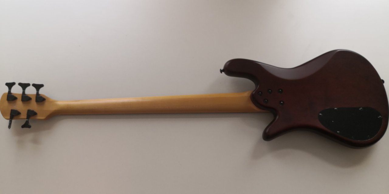 Bass-Back.jpg