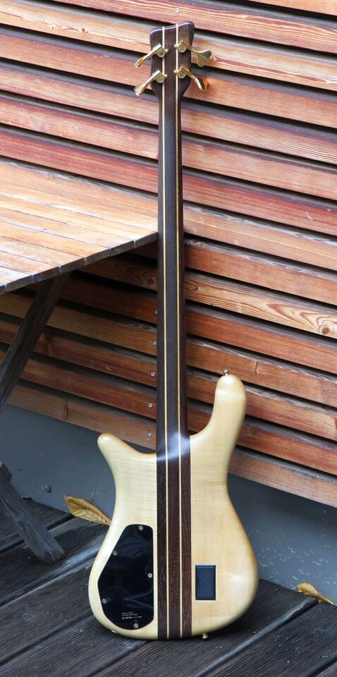 Bass Back streamer.jpg