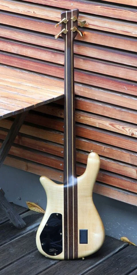 Bass Back streamer.webp