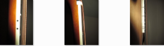Bass-Bilder.PNG
