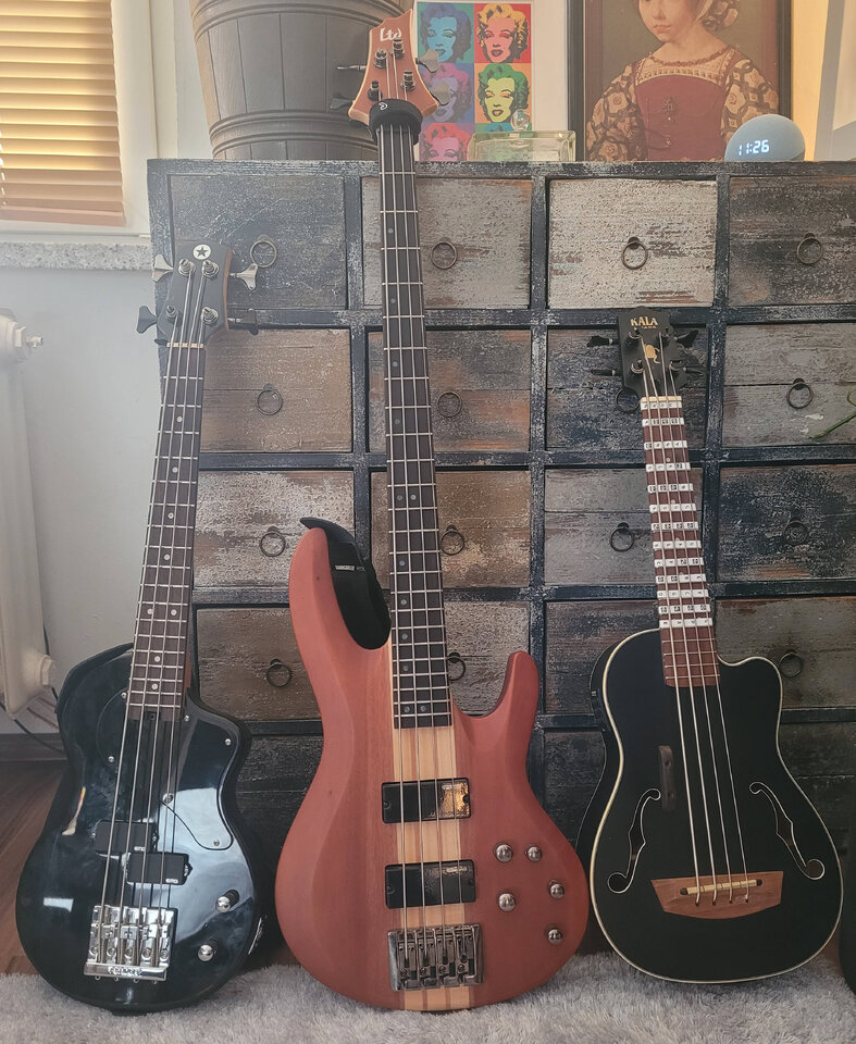 bass collection.jpg