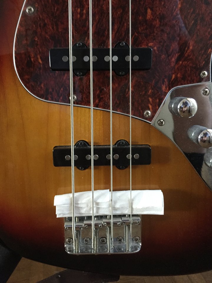 Bass.jpg